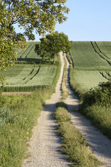 Feldweg in Bayern