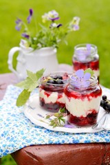 natural yogurt with fresh berries in a bowl