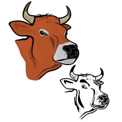 Cow's head