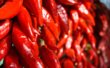 Red paprika drying