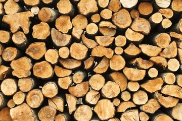 Möbelaufkleber pile of cuted wood stump, brunches texture © Anna Huzarska