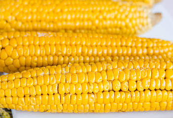 boiled corn on the cob with salt