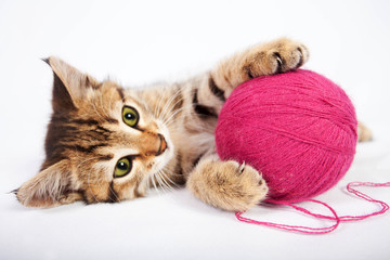 Tabby kitten playing with a ball of yarn