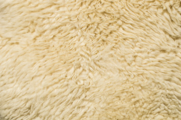 Sheepskin background