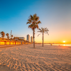Naklejka premium Barceloneta Beach in Barcelona at sunrise