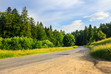 country road leading to coniferous forest. beautiful summer scenery
