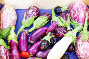 Fresh eggplants, aubergine vegetables on street market in Proven
