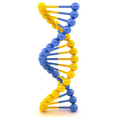 yellow blue DNA molecule