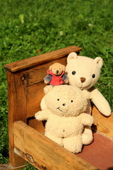 fellowship of teddy bears