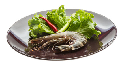 Tiger prawn