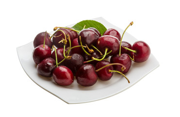 Gean - cherry