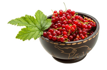 Red currant