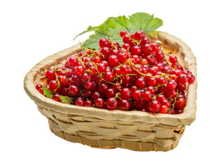 Red currant
