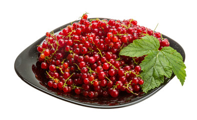 Red currant