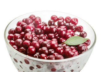 Cherry in the bowl