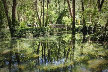 Fototapeta na wymiar Reflection of trees in natural park in Spain