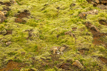 Texture of Icelandic mountains