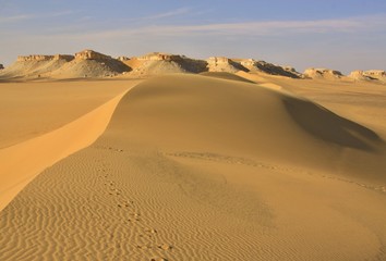 Fototapeta na wymiar Lybian desert,sand dunes