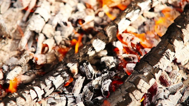 Firebrands of picnic campfire background