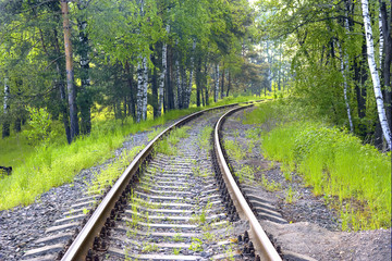 Obraz premium Railway track in the forest