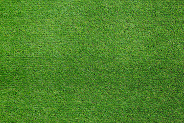 Obraz na płótnie Canvas Green grass background texture