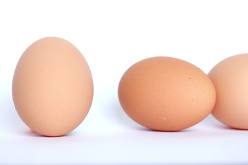 Brown Eggs