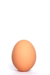 Brown Egg