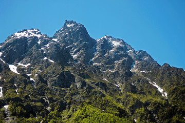 Fototapeta premium Caucasus mountains under snow and clear blue sky