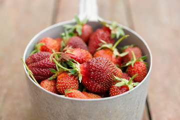 Strawberries in an old metal pot