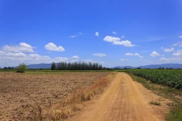 Fototapeta na wymiar dirty road near green and black field under cloudy sky