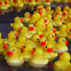 Canards de bain