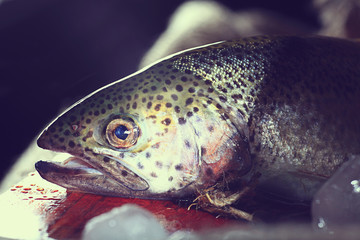 fresh trout rustic style restaurant