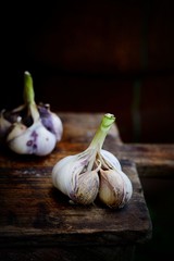 Violet  spring garlic rustic style
