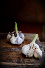 Violet  spring garlic rustic style