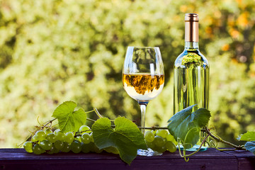 white wine in vineyard © Igor Normann