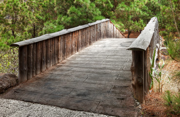 Fototapeta na wymiar Puente de madera