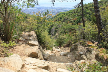 ロックガーデンから見た芦屋の街並み