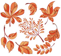 Collection of  colourful autumn leaves