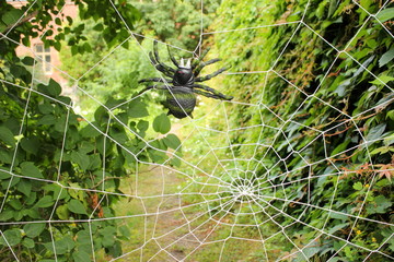 Riesige Plastikspinne in einem künstlichen Spinnennetz