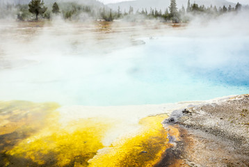 Yellowstone National Park, Utah, USA