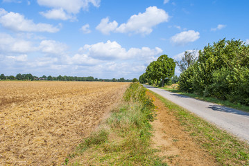 Fototapeta na wymiar Gravel Road Through Agricultural Land