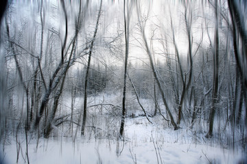 Fototapeta na wymiar winter, snow on the branches of a tree, patterns