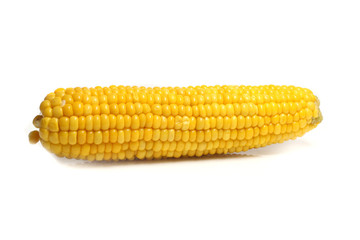 ripe ear of sweet corn Dutch