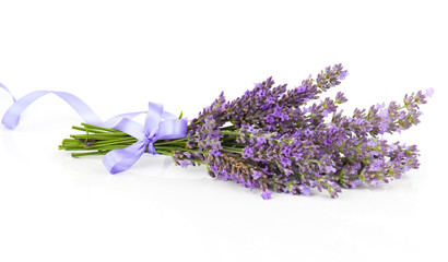 Bunch of lavender flowers with satin ribbon, on a white backgrou