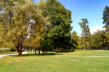 green trees in a sunny park in oslo, norway