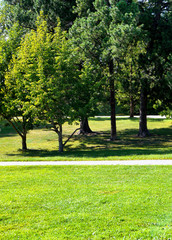 corner of  agreed park in oslo