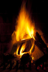 Flame of fire in darkness burning wood