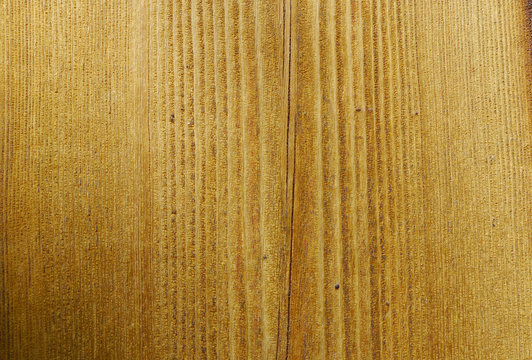 rich wooden grain texture
