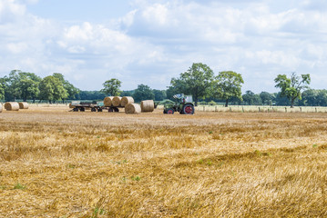 Fototapeta premium Tractor collecting bales
