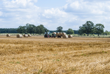 Fototapeta premium Farm Industry